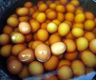 什么叫童子尿？