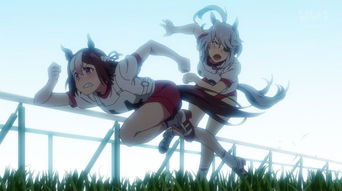 新番动画有哪些