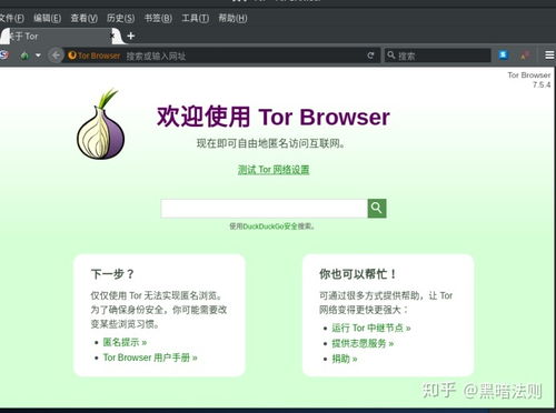 影子网络的进入方法是什么？