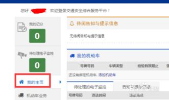 交通安全综合服务管理平台