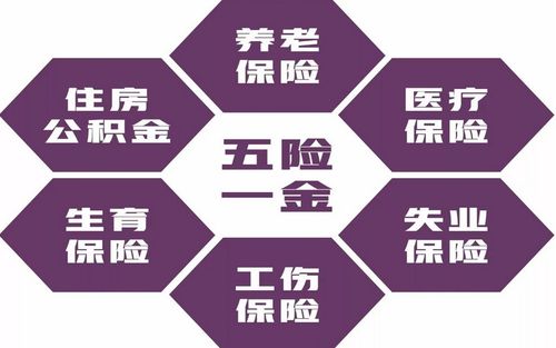 七险二金都包括什么