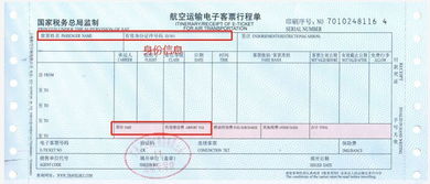 电子客票号码是什么