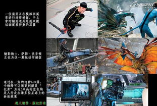 3d电影原理是偏振吗,3d电影原理解释