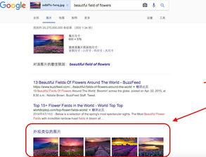 为什么谷歌识图用不了呢？