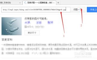 手机怎么给图片去水印