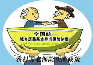 农村养老保险到底怎么交？