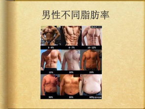 体脂率计算公式哪个更正确？