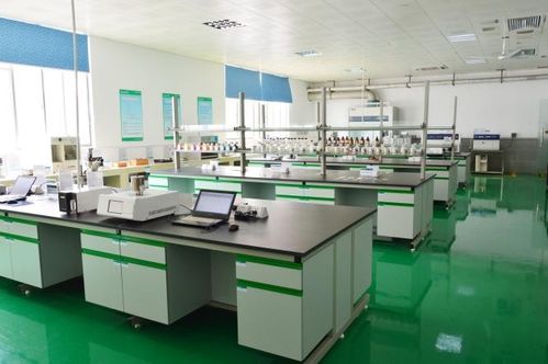 博士工作站什么意思