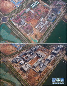 海南网站建设和软件开发的公司有哪些？