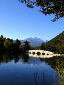 丽江黑龙潭公园收费吗