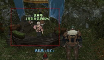 ff14新版本陆行鸟飞行任务怎么做？