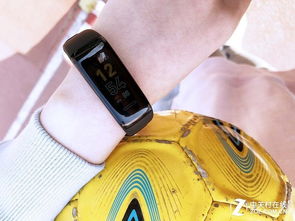 乐心手环如下载