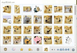 doge在聊天中什么意思女生给你发dogeqq表情