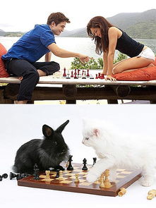 蜜月期,挫折期,调整期,适应期,蜜月期糖尿病会好吗