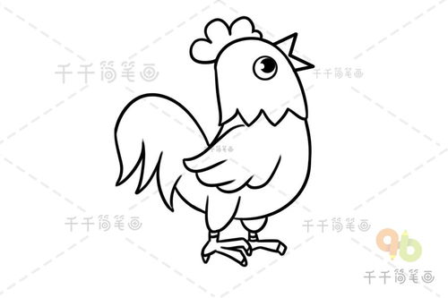简笔画公鸡简单又漂亮