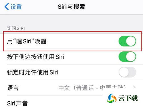 语音siri怎么打开