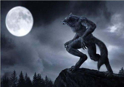 玩狼人杀有什么技巧？