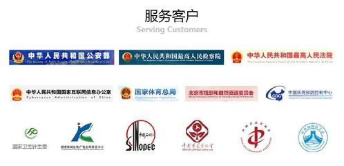 网络刷票是不是犯罪行为,网络刷票有风险吗