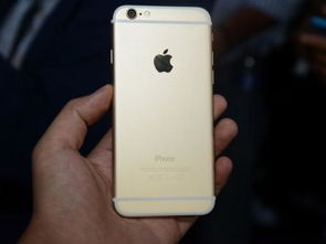iPhone6现在售价多少