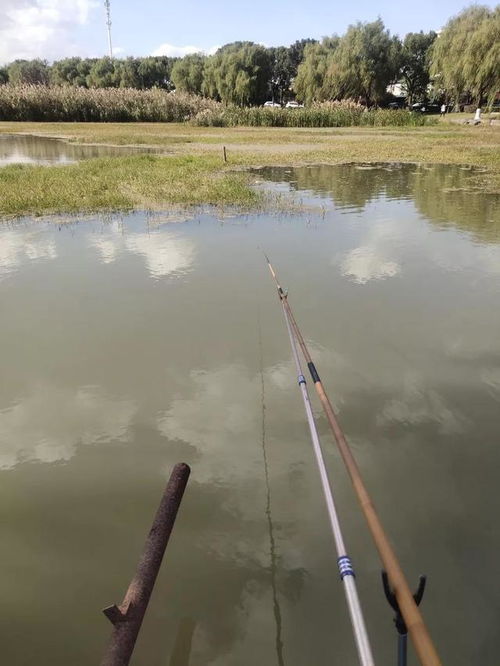 钓鱼的浮漂几号代表什么