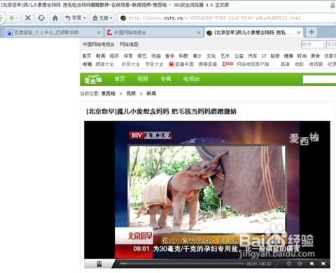 cctv视频下载软件,CCTV视频下载(xmlbar)