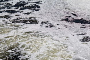 梦见污水满地流