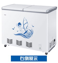 中国冰柜十大品牌都有哪些？