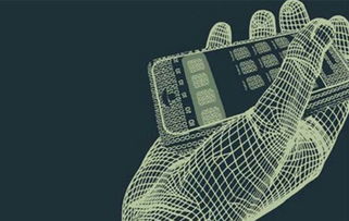 移动互联网创业机会？