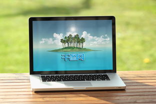 电脑苹果的好还是联想的好