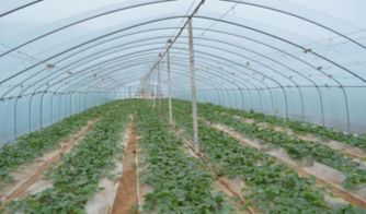 寻找农村致富好项目