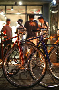 城市休闲自行车哪个好？求推荐。