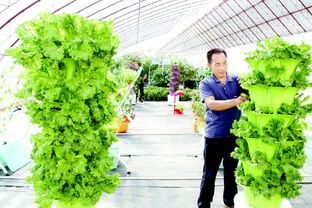 为什么说科技兴农