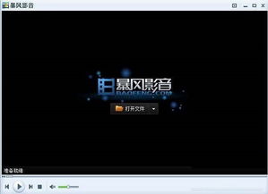 哪个播放器支持AVI格式？