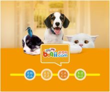 买狗粮，波奇网个E宠，哪个更靠谱啊？