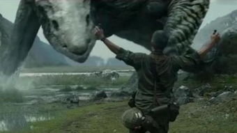 魔兽世界掠食者哪抓？求坐标