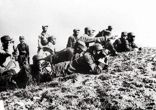 抗日时期八路军一一五师编制详况