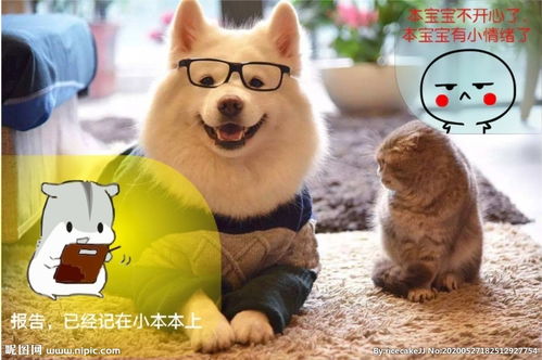 宝宝不开心图片文字可爱