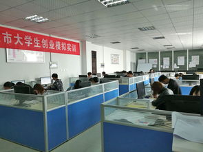 大学生创新创业模拟实训中获得了哪些方面素质训练