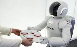 家用机器人多少钱一台