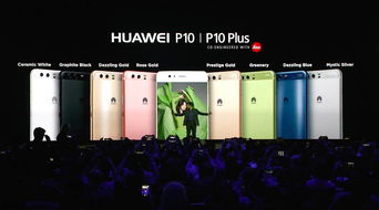 apax 软件,apax partners