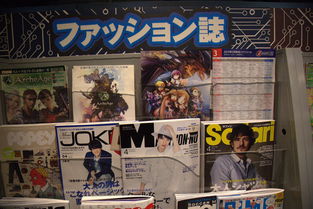 怎么看待宅文化？