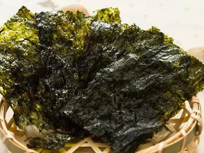 海苔和紫菜是一种东西吗