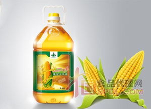 哪种食用油最好？