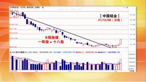 如何查询企业所属行业?