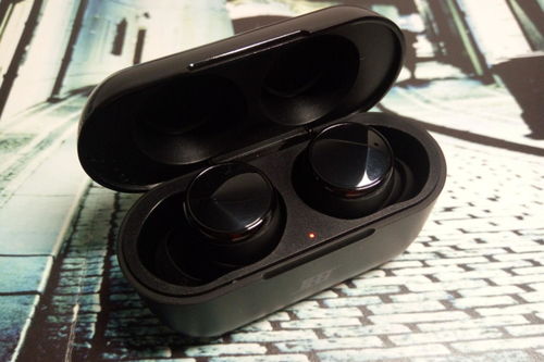 四季竹图片，四季竹子怎么养才能更旺盛