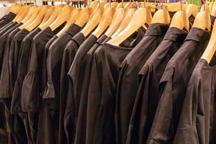 求《爱也萧何恨也萧何》全文。。发至1430867805