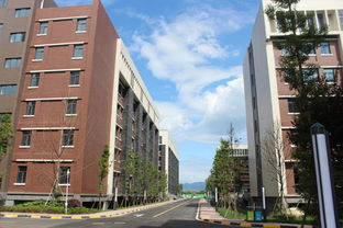 什么是孵化园？