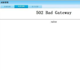 502 bad gateway是什么意思?怎么解决?