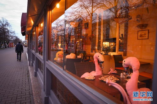 汽车之家的介绍