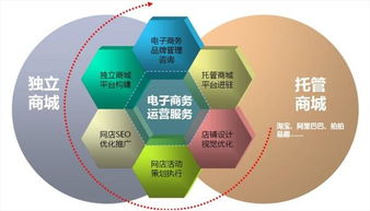 电子商务专业以后有什么就业方向？